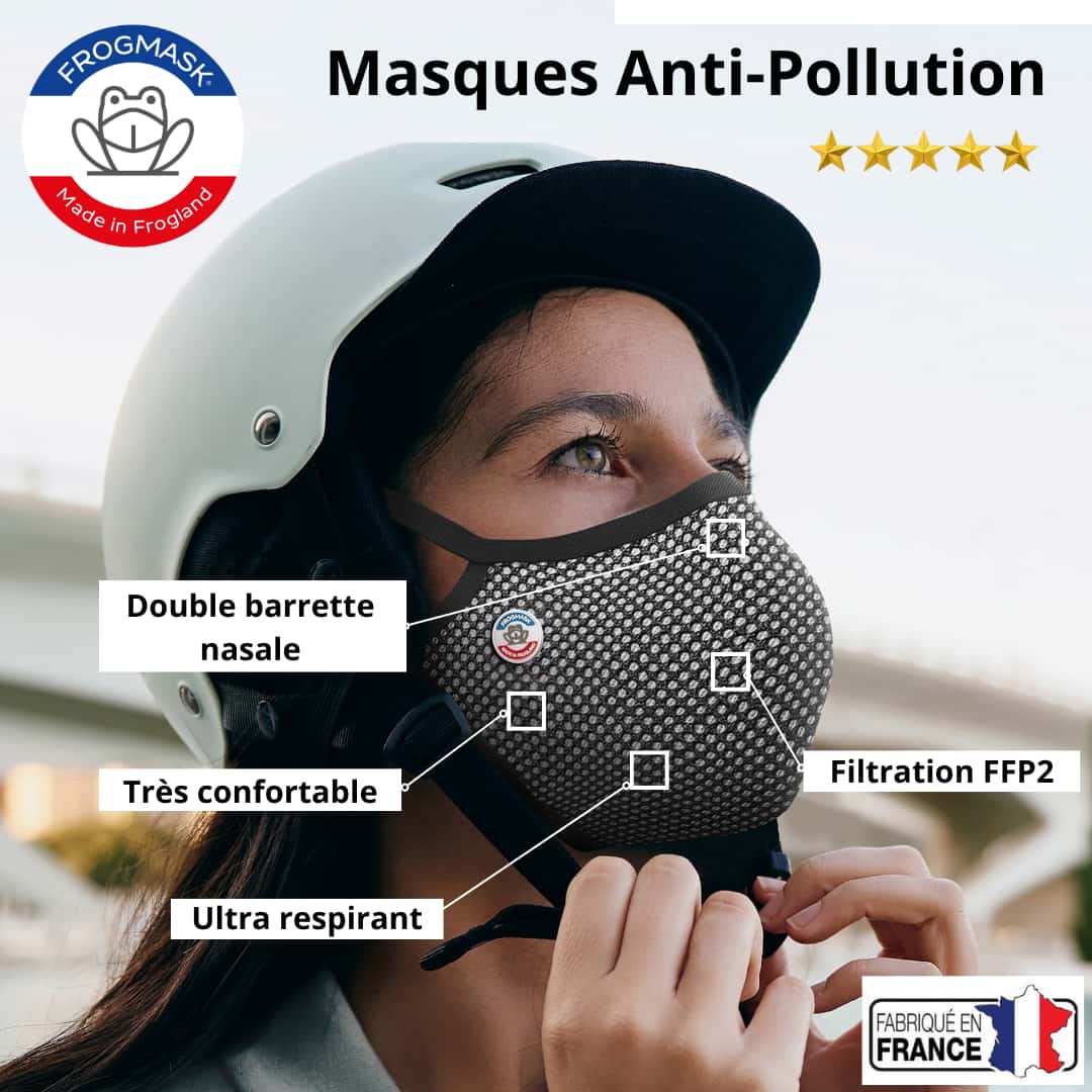 Pub masque antipollution Frogmask gris