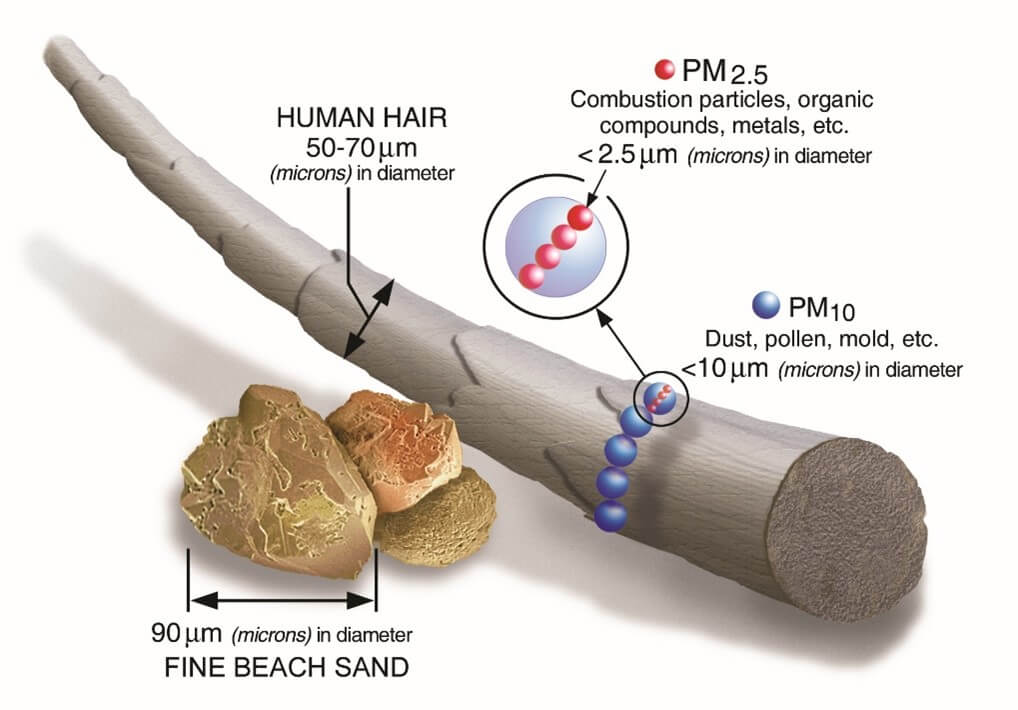 Taille d'une particule PM2,5 par rapport à un cheveux