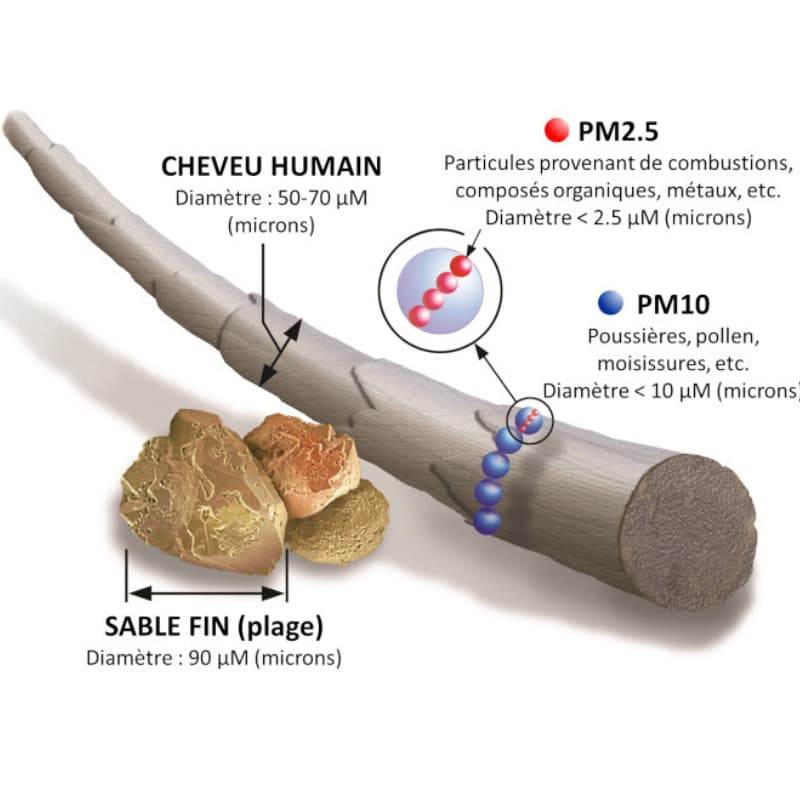 Les particules PM2.5 comparées à nu cheveu